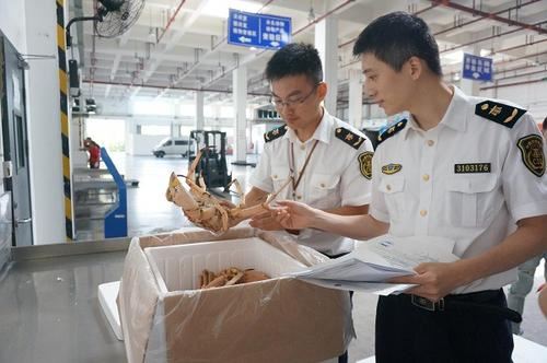 去年上海口岸进口青蟹1万吨帝王蟹成市场明星