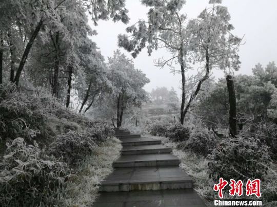 贵州贵定阳宝山雪景。黄庆松摄