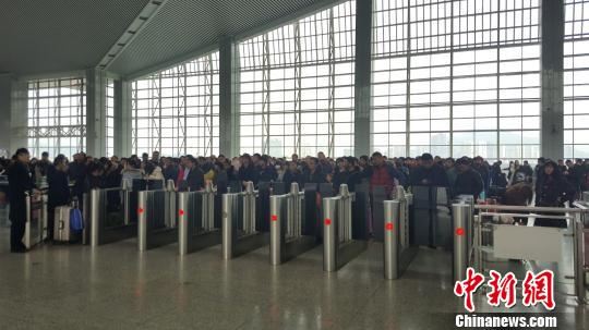 春运期间，温州南站内旅客排队检票上车 潘沁文 摄