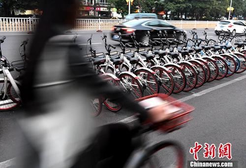 资料图：市民骑着共享单车出行。<a target='_blank' href='http://www.chinanews.com/'></p>中新社记者 张斌 摄
