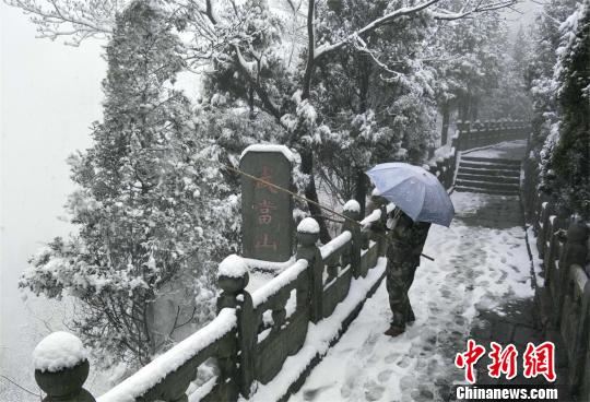 武当山景区护林员用竹竿敲落树上积雪 刘洋 摄