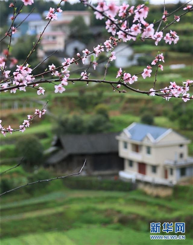 #（环境）（5）花开三月