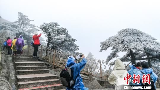 黄山雾凇春雪美景引游客拍照 李金刚 摄
