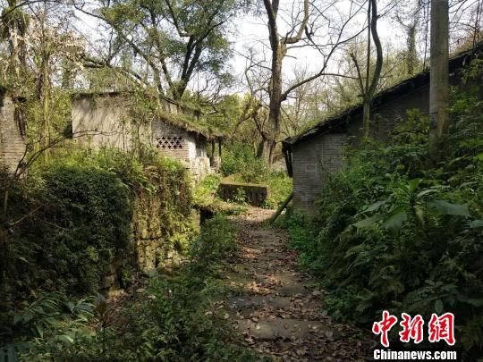 重庆300岁古村落遗忘乡间3月底启动修缮将复原重生