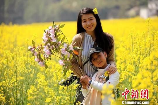 31日，安徽省休宁县板桥乡油菜花节开幕，图为游客在花丛中。　樊成柱 摄