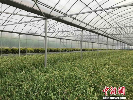 一季度浙江农产品总体合格率达98.7%