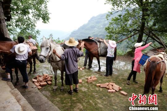 四川万源“马帮突击队”筑起马背上的“新居”