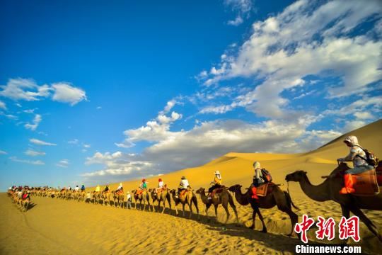 图为满载游客的驼队蜿蜒行进在大漠。　王斌银 摄