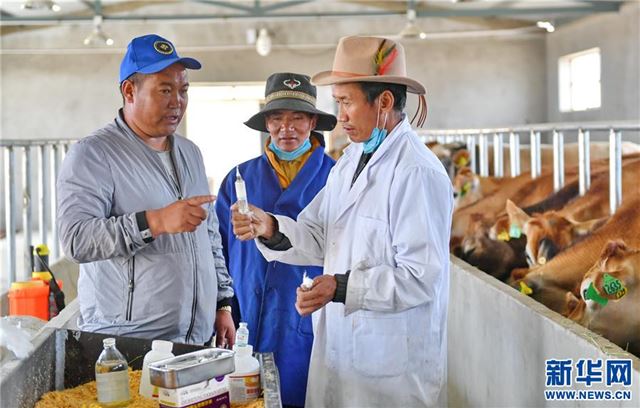 （脱贫攻坚）（2）西藏阿里：生态农业促脱贫