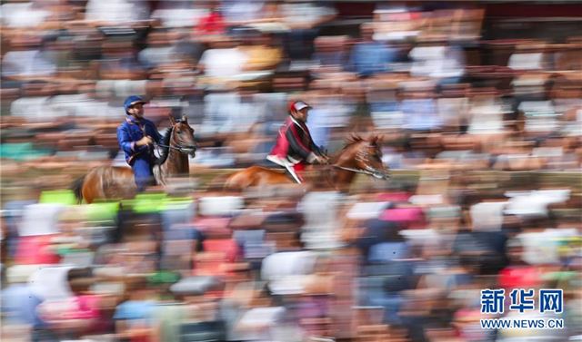 （体育）（1）锡耶纳举行传统赛马节