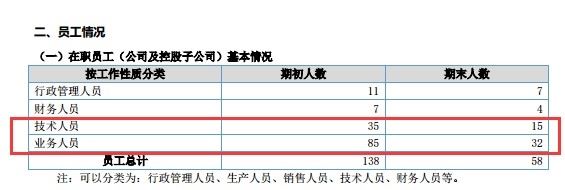 ST母婴2017年年度报告截图(挖贝网wabei.cn配图)