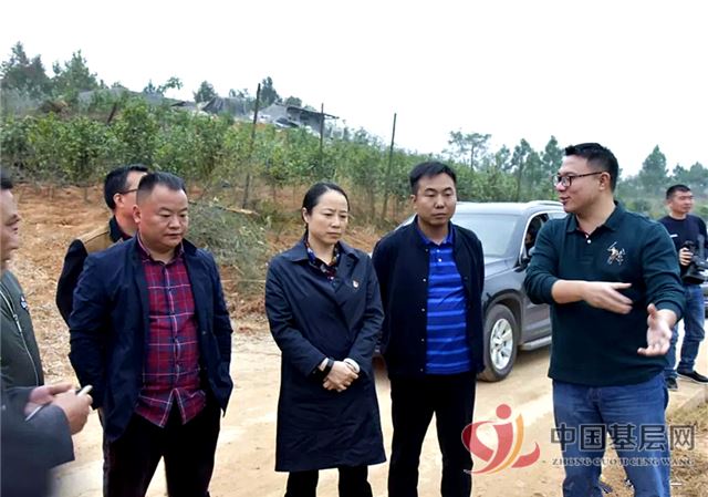 湖南邵阳北塔区:仇珂静调研指导陈家桥乡茶元头街道脱贫攻坚工作