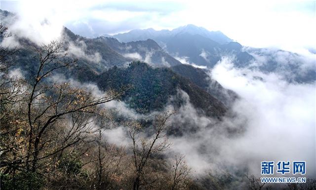 （美丽中国）（2）陕南鬼谷岭：秦岭深处的“云雾仙境”