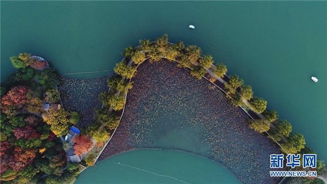 （美丽中国）（2）层林染翠湖 