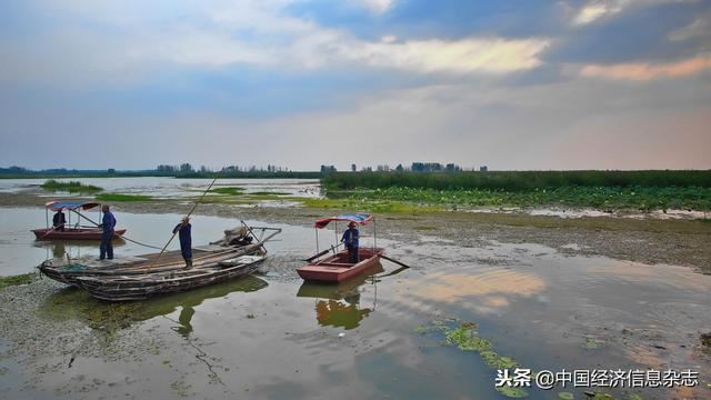 东平老湖：农文旅游助力乡村振兴