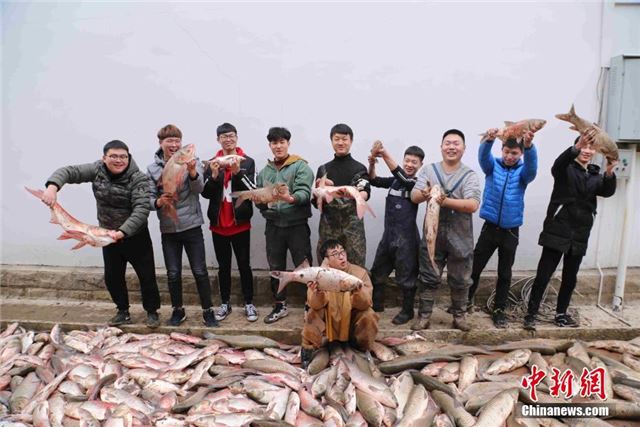 武汉一高校捕鱼4千斤 师生齐动手共享春鱼宴