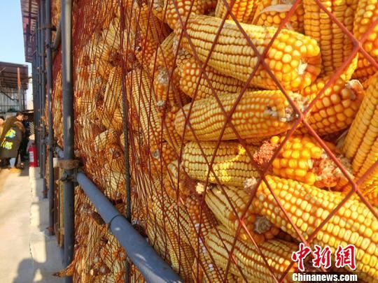 黑龙江今年大豆生产者每亩补贴300元