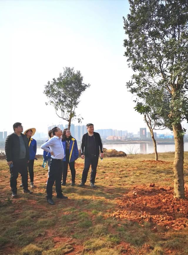 为城市添绿湘潭发展投植树造林助力湘潭“全国绿化模范城市”创建