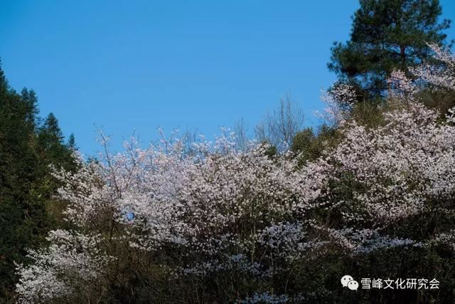 穿岩山情思