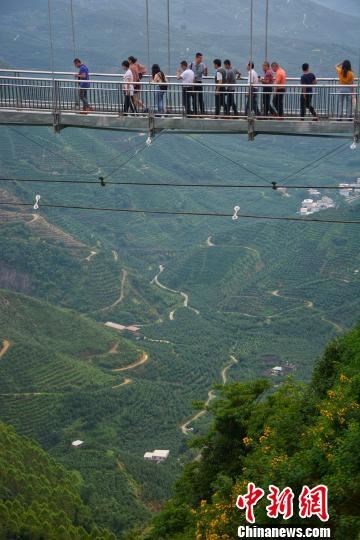 游客体验高峰生态谷的高空玻璃栈桥。　龚雯 摄
