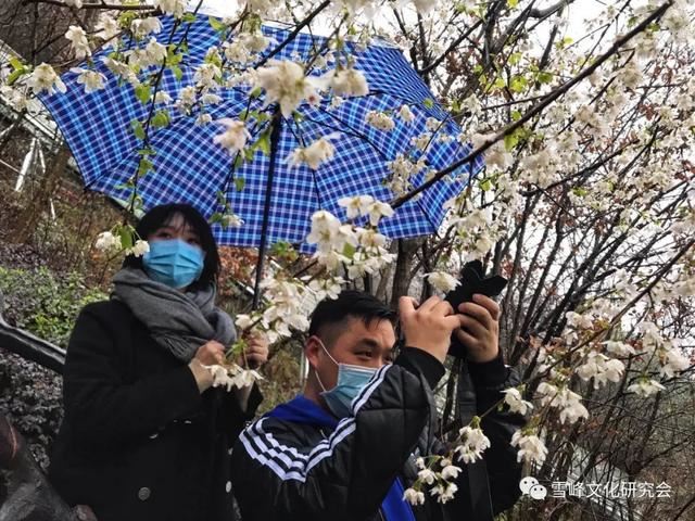 著名作家邓宏顺：春游雪峰山六记