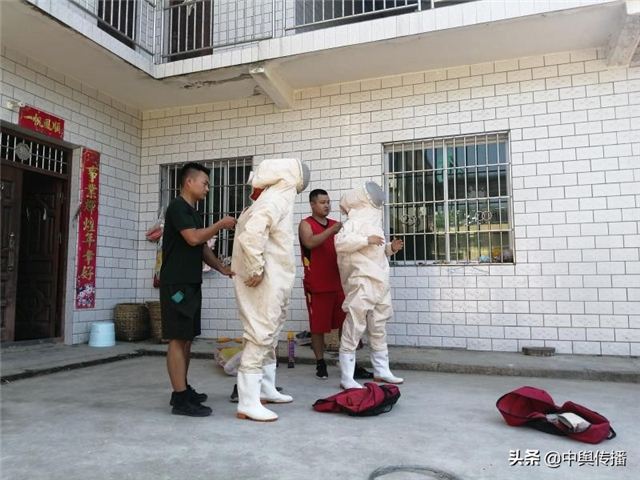 内江市安全生产应急救援支队指战员冒酷暑处置多起马蜂窝