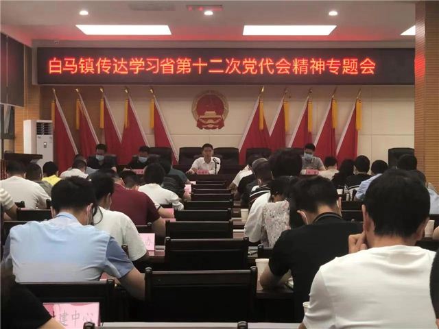 白马镇召开传达学习省第十二次党代会精神专题会